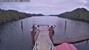 ./images/calvert/dock/20250121/dock20250121_081509M.jpg