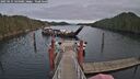 ./images/calvert/dock/20250121/dock20250121_144008M.jpg