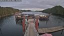 ./images/calvert/dock/20250121/dock20250121_150010M.jpg