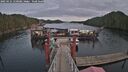 ./images/calvert/dock/20250121/dock20250121_150508M.jpg