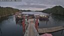 ./images/calvert/dock/20250121/dock20250121_151009M.jpg