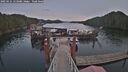 ./images/calvert/dock/20250121/dock20250121_153509M.jpg