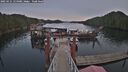 ./images/calvert/dock/20250121/dock20250121_154009M.jpg