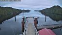 ./images/calvert/dock/20250123/dock20250123_082507M.jpg