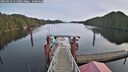 ./images/calvert/dock/20250125/dock20250125_115008M.jpg