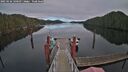 ./images/calvert/dock/20250126/dock20250126_140508M.jpg