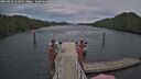 ./images/calvert/dock/20250226/dock20250226_153010M.jpg