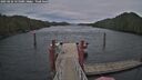 ./images/calvert/dock/20250226/dock20250226_155008M.jpg