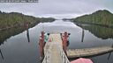./images/calvert/dock/20250228/dock20250228_091509M.jpg