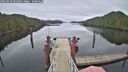 ./images/calvert/dock/20250228/dock20250228_092009M.jpg