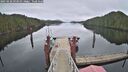 ./images/calvert/dock/20250228/dock20250228_093010M.jpg