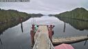./images/calvert/dock/20250228/dock20250228_094009M.jpg