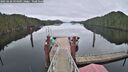 ./images/calvert/dock/20250228/dock20250228_094509M.jpg