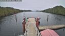 ./images/calvert/dock/20250228/dock20250228_104509M.jpg
