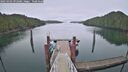 ./images/calvert/dock/20250302/dock20250302_092507M.jpg