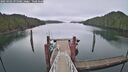 ./images/calvert/dock/20250302/dock20250302_095008M.jpg