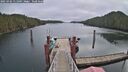 ./images/calvert/dock/20250302/dock20250302_111009M.jpg