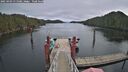 ./images/calvert/dock/20250303/dock20250303_115509M.jpg