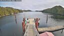 ./images/calvert/dock/20250303/dock20250303_124009M.jpg