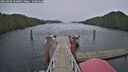 ./images/calvert/dock/20250304/dock20250304_150009M.jpg