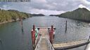 ./images/calvert/dock/20250305/dock20250305_110010M.jpg