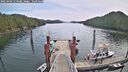 ./images/calvert/dock/20250404/dock20250404_114508M.jpg