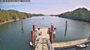 ./images/calvert/dock/20250404/dock20250404_125509M.jpg