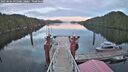 ./images/calvert/dock/20250404/dock20250404_195507M.jpg