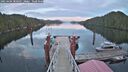 ./images/calvert/dock/20250404/dock20250404_200008M.jpg