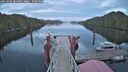 ./images/calvert/dock/20250404/dock20250404_201007M.jpg