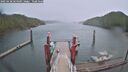 ./images/calvert/dock/20250428/dock20250428_064510M.jpg