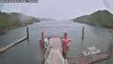 ./images/calvert/dock/20250428/dock20250428_083510M.jpg