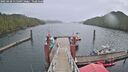 ./images/calvert/dock/20250428/dock20250428_115510M.jpg