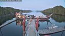 ./images/calvert/dock/20250429/dock20250429_205508M.jpg