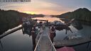 ./images/calvert/dock/20250430/dock20250430_062011M.jpg