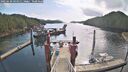 ./images/calvert/dock/20250430/dock20250430_094511M.jpg