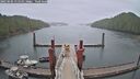 ./images/calvert/dock/20250502/dock20250502_111510M.jpg
