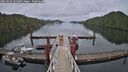 ./images/calvert/dock/20250502/dock20250502_163510M.jpg