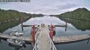 ./images/calvert/dock/20250505/dock20250505_072509M.jpg