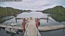 ./images/calvert/dock/20250505/dock20250505_074010M.jpg