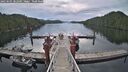 ./images/calvert/dock/20250505/dock20250505_082510M.jpg