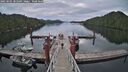 ./images/calvert/dock/20250505/dock20250505_083510M.jpg