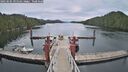 ./images/calvert/dock/20250505/dock20250505_095009M.jpg