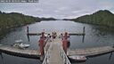 ./images/calvert/dock/20250505/dock20250505_105010M.jpg