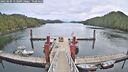./images/calvert/dock/20250505/dock20250505_113509M.jpg