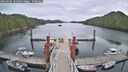 ./images/calvert/dock/20250505/dock20250505_122011M.jpg