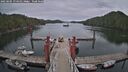 ./images/calvert/dock/20250505/dock20250505_174511M.jpg