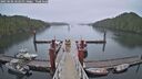 ./images/calvert/dock/20250506/dock20250506_062010M.jpg