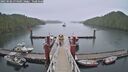 ./images/calvert/dock/20250506/dock20250506_074509M.jpg