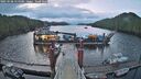 ./images/calvert/dock/20250508/dock20250508_054009M.jpg